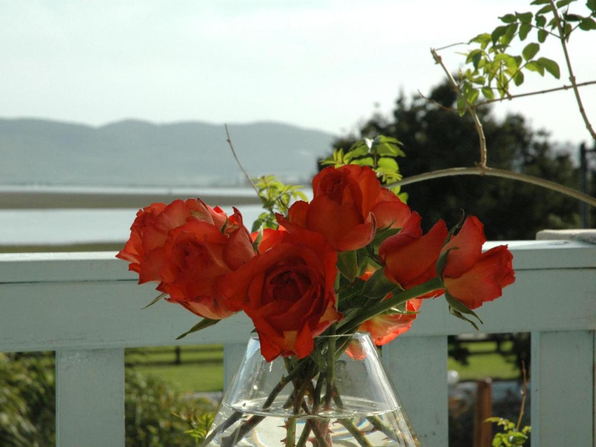 Lagoona Inn Knysna Exterior photo